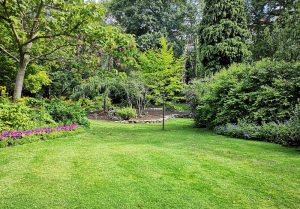 Optimiser l'expérience du jardin à Ourton